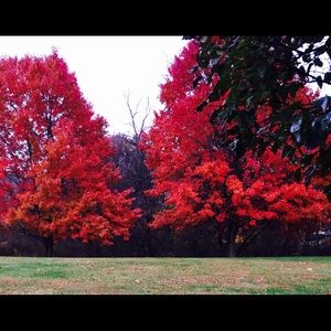 Meet your Posher, Juanita